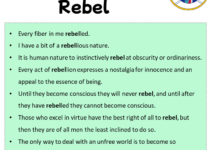 Sentences with Rebel, Rebel in a Sentence in English, Sentences For Rebel