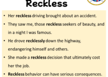 Sentences with Reckless, Reckless in a Sentence in English, Sentences For Reckless