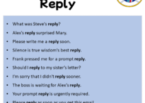 Sentences with Reply, Reply in a Sentence in English, Sentences For Reply