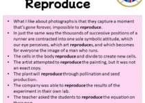 Sentences with Reproduce, Reproduce in a Sentence in English, Sentences For Reproduce