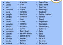 100 Plants Names List in English, Plant Names Vocabulary