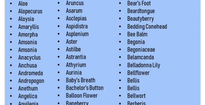 100 Plants Names List in English, Plant Names Vocabulary