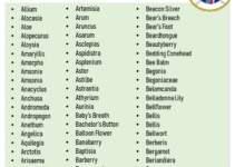 500 Plants Names List in English, Plant Names Vocabulary