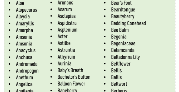 500 Plants Names List in English, Plant Names Vocabulary