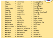 650 Plants Names List in English, Plant Names Vocabulary
