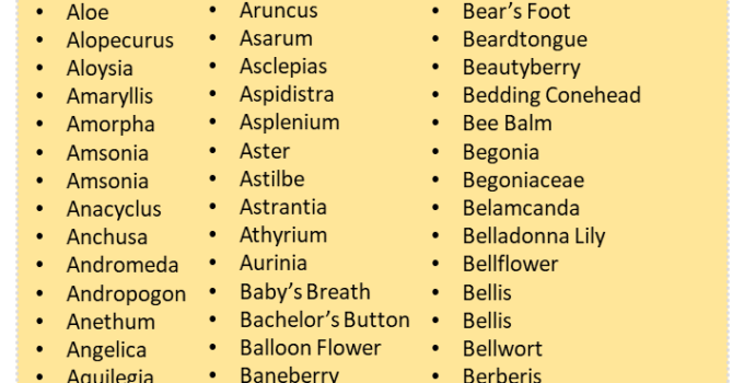 650 Plants Names List in English, Plant Names Vocabulary