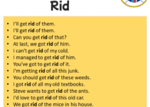 Sentences with Rid, Rid in a Sentence in English, Sentences For Rid