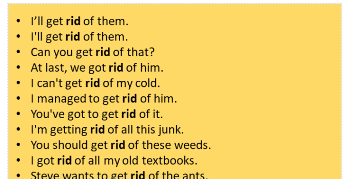 Sentences with Rid, Rid in a Sentence in English, Sentences For Rid