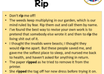 Sentences with Rip, Rip in a Sentence in English, Sentences For Rip