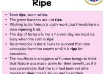 Sentences with Ripe, Ripe in a Sentence in English, Sentences For Ripe