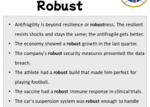 Sentences with Robust, Robust in a Sentence in English, Sentences For Robust