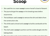 Sentences with Scoop, Scoop in a Sentence in English, Sentences For Scoop