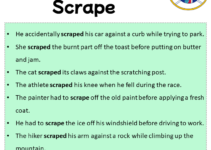 Sentences with Scrape, Scrape in a Sentence in English, Sentences For Scrape