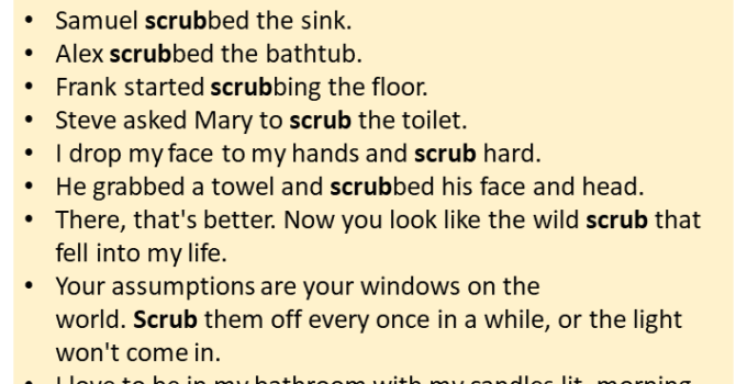 Sentences with Scrub, Scrub in a Sentence in English, Sentences For Scrub