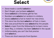 Sentences with Select, Select in a Sentence in English, Sentences For Select