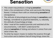 Sentences with Sensation, Sensation in a Sentence in English, Sentences For Sensation