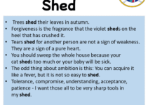 Sentences with Shed, Shed in a Sentence in English, Sentences For Shed