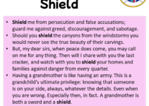 Sentences with Shield, Shield in a Sentence in English, Sentences For Shield