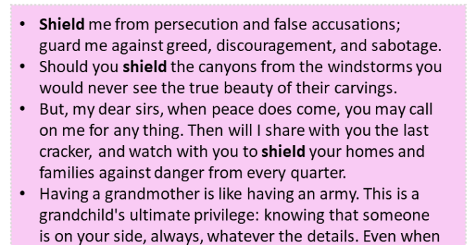 Sentences with Shield, Shield in a Sentence in English, Sentences For Shield