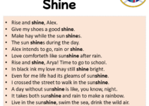 Sentences with Shine, Shine in a Sentence in English, Sentences For Shine