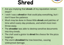 Sentences with Shred, Shred in a Sentence in English, Sentences For Shred