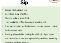 Sentences with Sip, Sip in a Sentence in English, Sentences For Sip