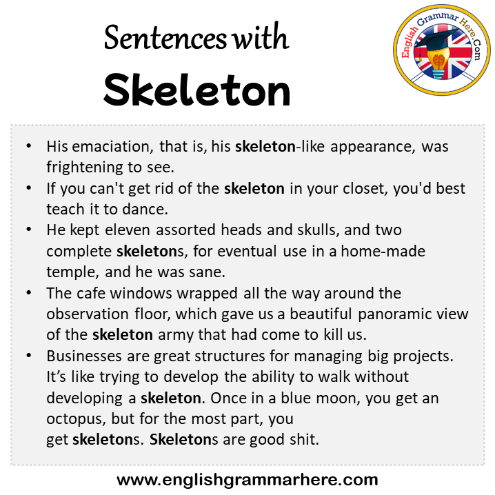 sentences-with-skeleton-skeleton-in-a-sentence-in-english-sentences