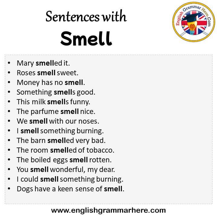 sentences-with-smell-smell-in-a-sentence-in-english-sentences-for